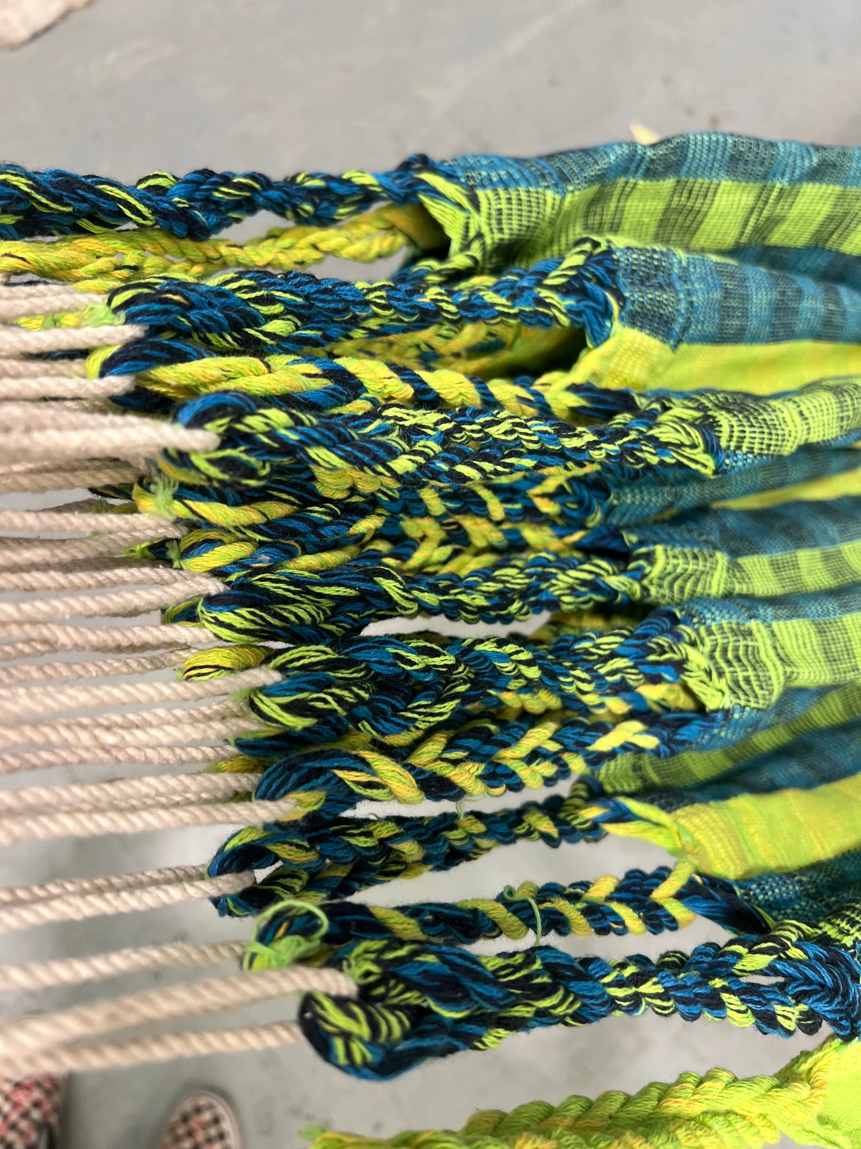 CLEARANCE Tropilex Lemon Hammock DISCONTINUED